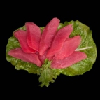 Tuna sashimi on a bed of green salad
